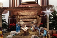 IMG_20251225_121041717_MFNR