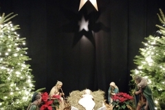 IMG_20251227_112722197_MFNR