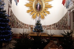 IMG_20251227_134027469_MFNR