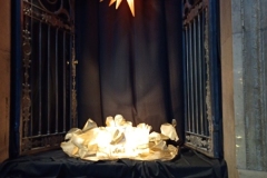 IMG_20251228_130845405_MFNR