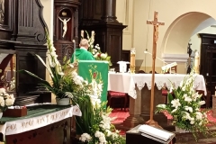 trashed-1729014834-IMG_20240915_003129012_MFNR