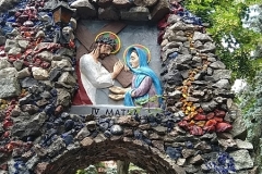 MVIMG_20220617_101419