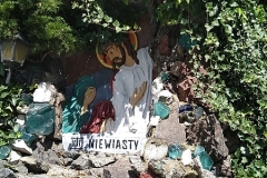 MVIMG_20220617_102255