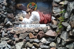 MVIMG_20220617_102442