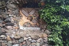 MVIMG_20220617_102717