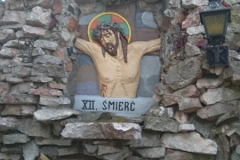 MVIMG_20220617_102808