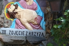 MVIMG_20220617_102949