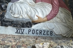 MVIMG_20220617_103019