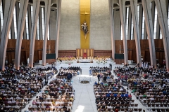 2025-06-01-XVIII-DD-JS-381-Male