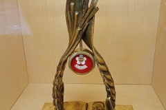 IMG_20250601_144911644_MFNR