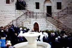 IMG_20251201_085205726_MFNR