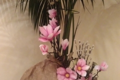 IMAG2817
