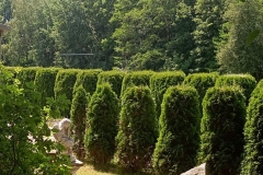 IMG_20260722_132104918_HDR