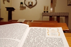 trashed-1741099500-IMG_20250201_193513281_MFNR