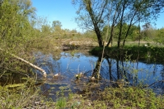 IMG_20230501_130750