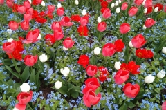 IMG_20230505_145808