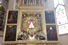 IMG_20260606_102556419_MFNR