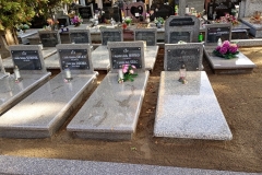 IMG_20251023_125211953_MFNR