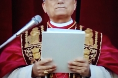 IMG_20250508_200332110_MFNR