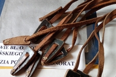 IMG_20251013_154217035_MFNR