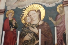 IMG_20260119_111701359_MFNR