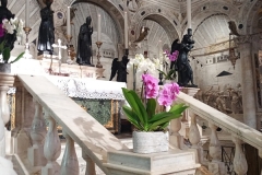 IMG_20260119_111936964_MFNR