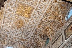 IMG_20260119_112420789_MFNR