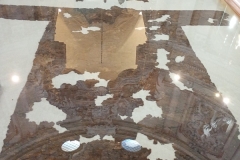 IMG_20260119_113659725_MFNR