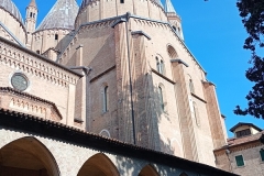 IMG_20260119_115244403_MFNR