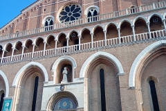 IMG_20260119_115447400_MFNR