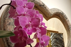 IMG_20260317_073834585_MFNR