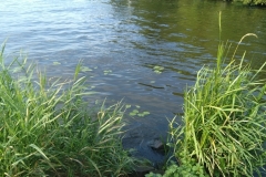 IMG_20230729_171052