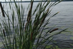 IMG_20230729_171200