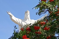 IMG_20260725_143448290_SR