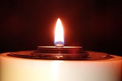 IMG_20241103_173120335_MFNR