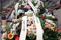 IMG_20241214_135252835_MFNR