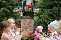 IMG_20250609_111926437_MFNR