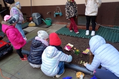 IMG_20250312_105226691_MFNR