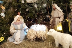 IMG_20241228_164645510_MFNR