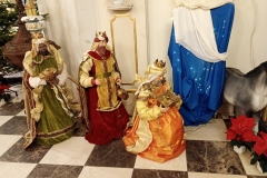 IMG_20241228_164756493_MFNR