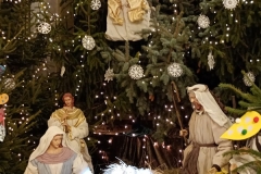 IMG_20241228_164812213_MFNR