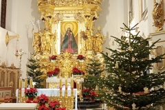 IMG_20241228_164909751_MFNR