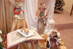 IMG_20241229_183105267_MFNR