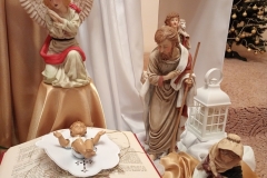 IMG_20241229_183119613_MFNR