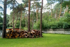 IMG_20220818_123748