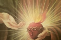 1_IMG_20250608_123047118_MFNR