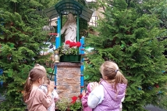 IMG_20250609_111941454_MFNR