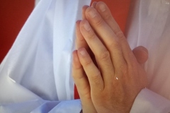 IMG_20250426_102206355_MFNR