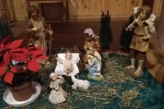 MVIMG_20221224_161243