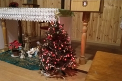 MVIMG_20221224_161558